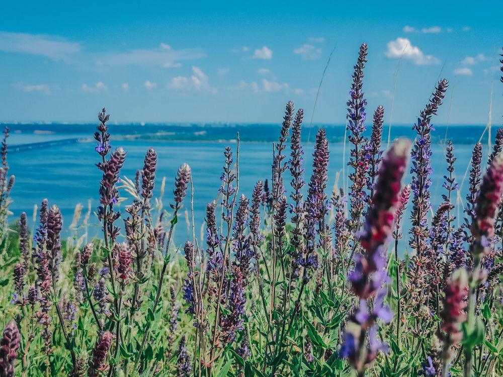 Photograph by Екатерина Васильева