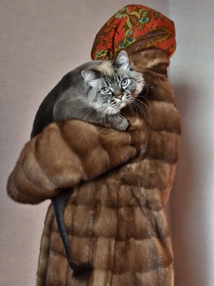 Photograph by Пивоварова Екатерина