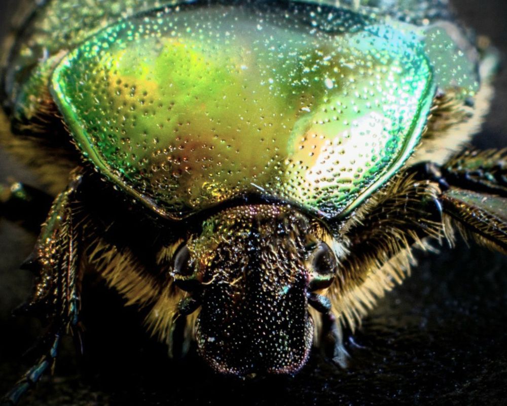 Photograph by Сергей Маркелов