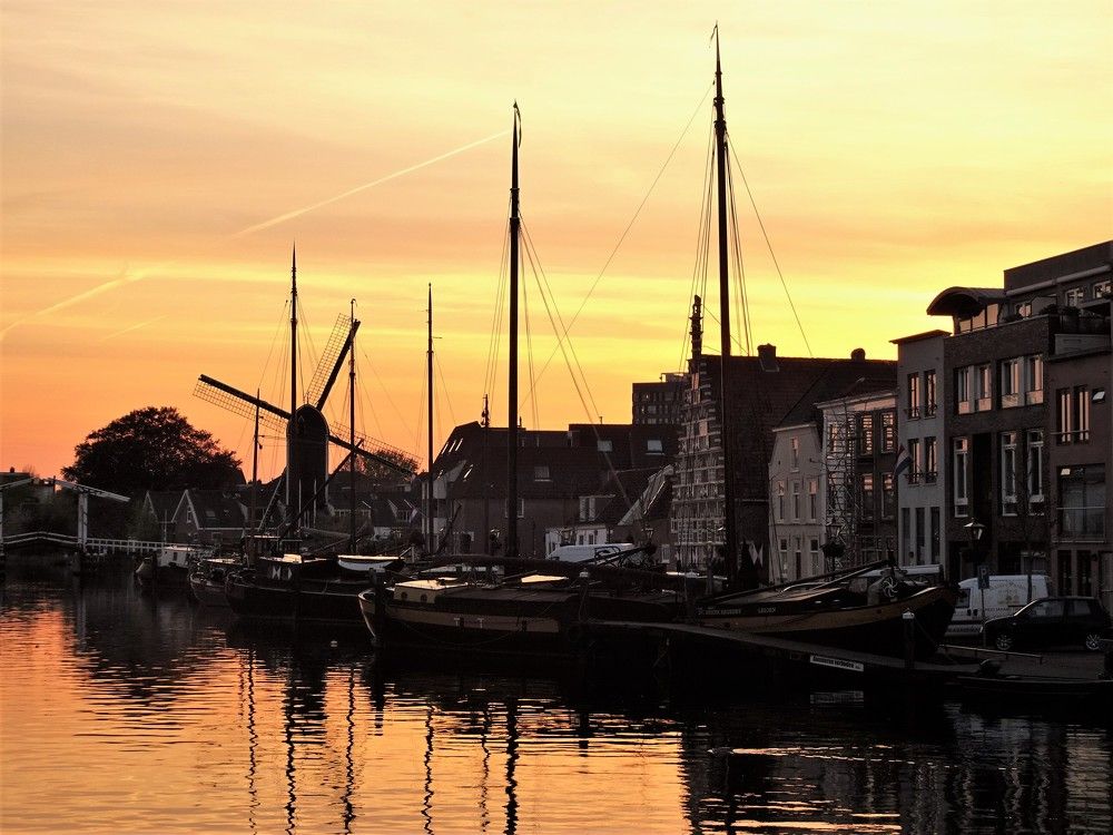 Photograph by Мила Милая