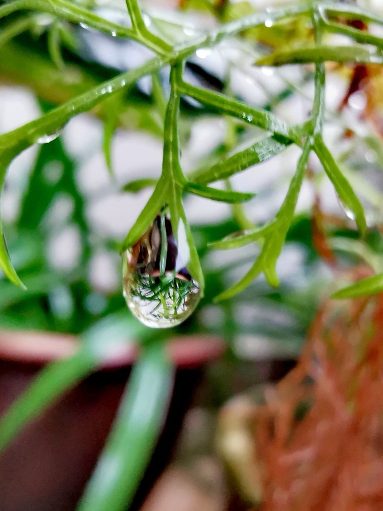 Photograph by Chunhou Poon