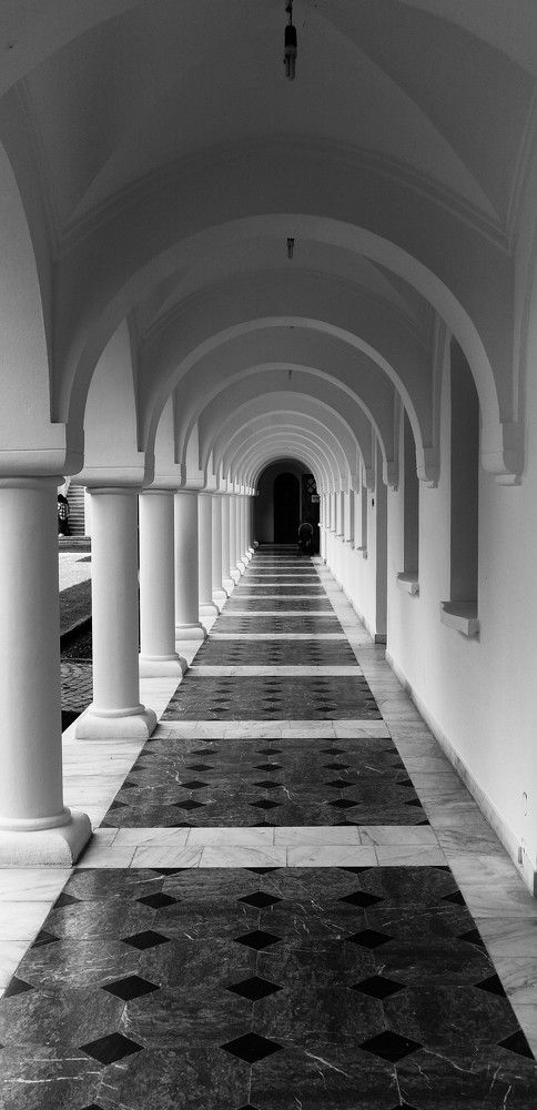 Photograph by Silviu Avramescu