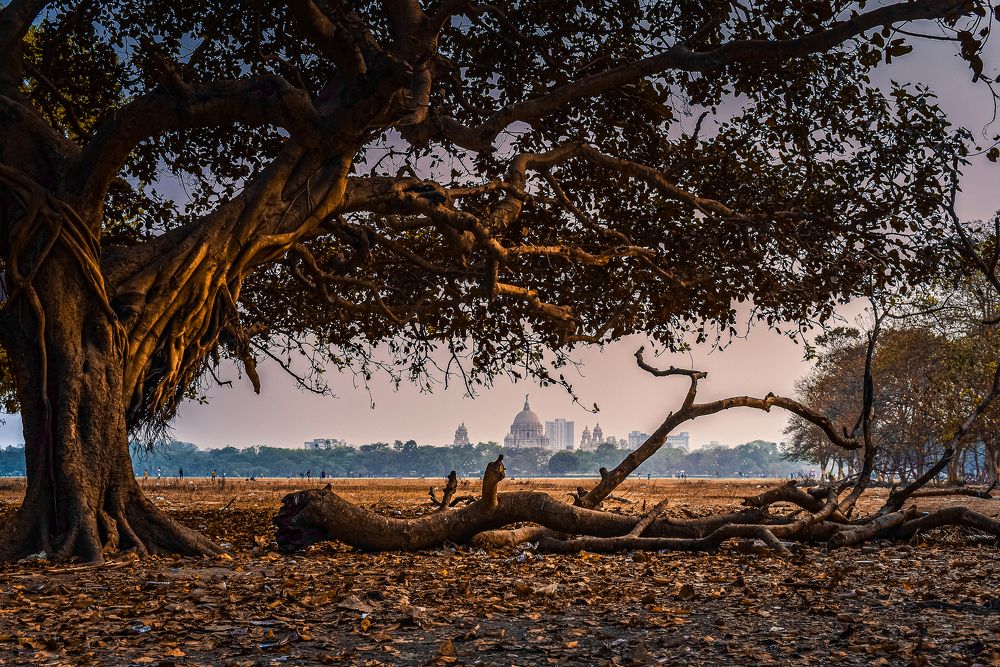 Photograph by Subhadeep Chowdhury