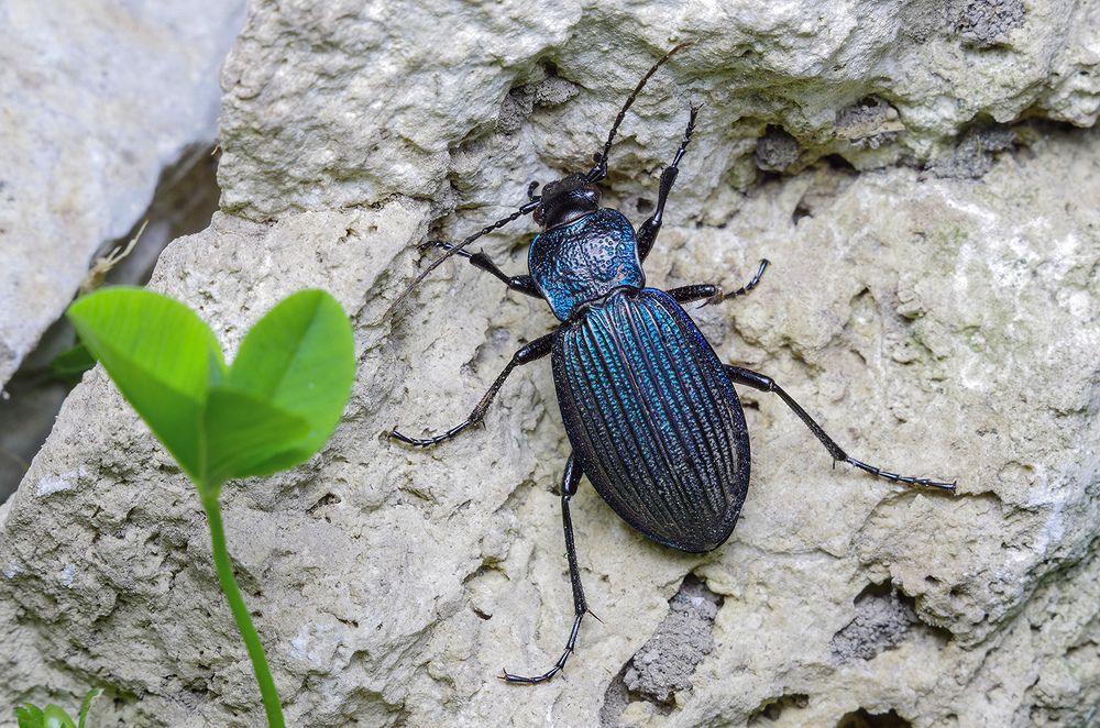 Photograph by Владимир Богданов