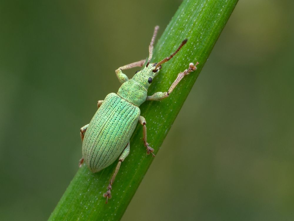 Photograph by Владимир Богданов