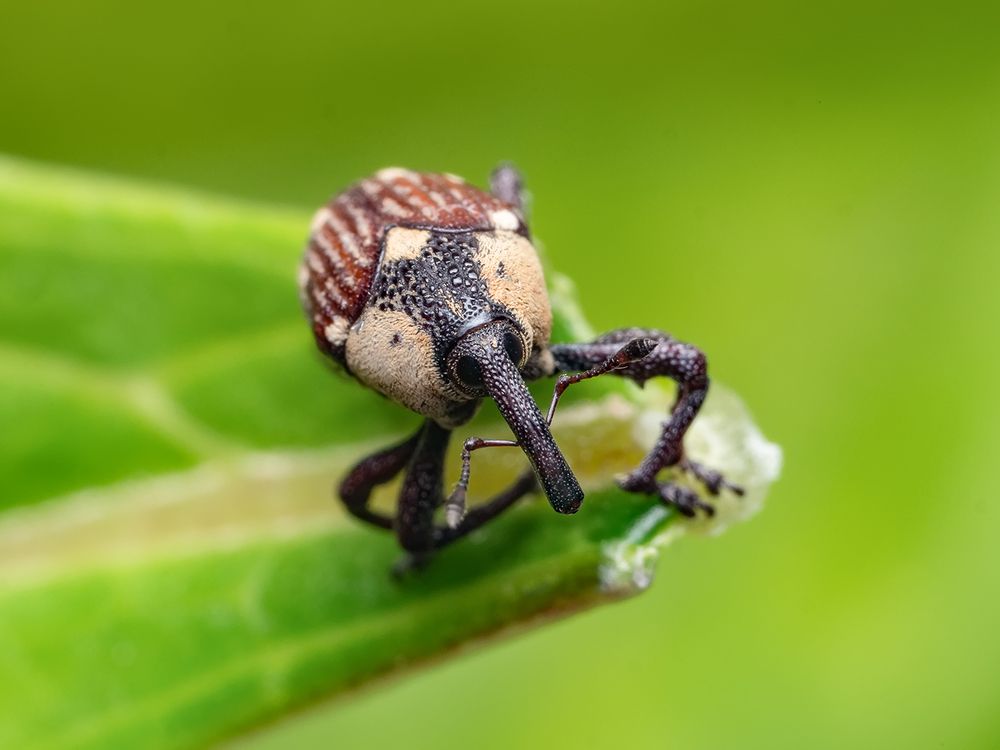 Photograph by Владимир Богданов