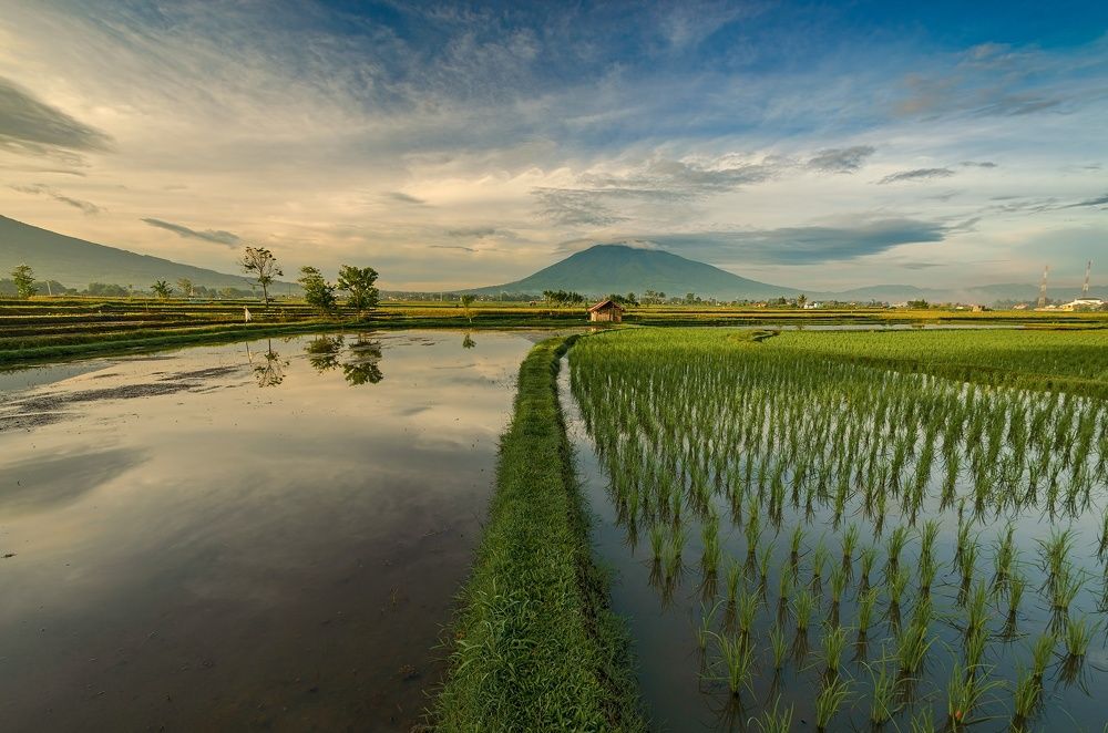 Photograph by Ridwan Read Ridwan