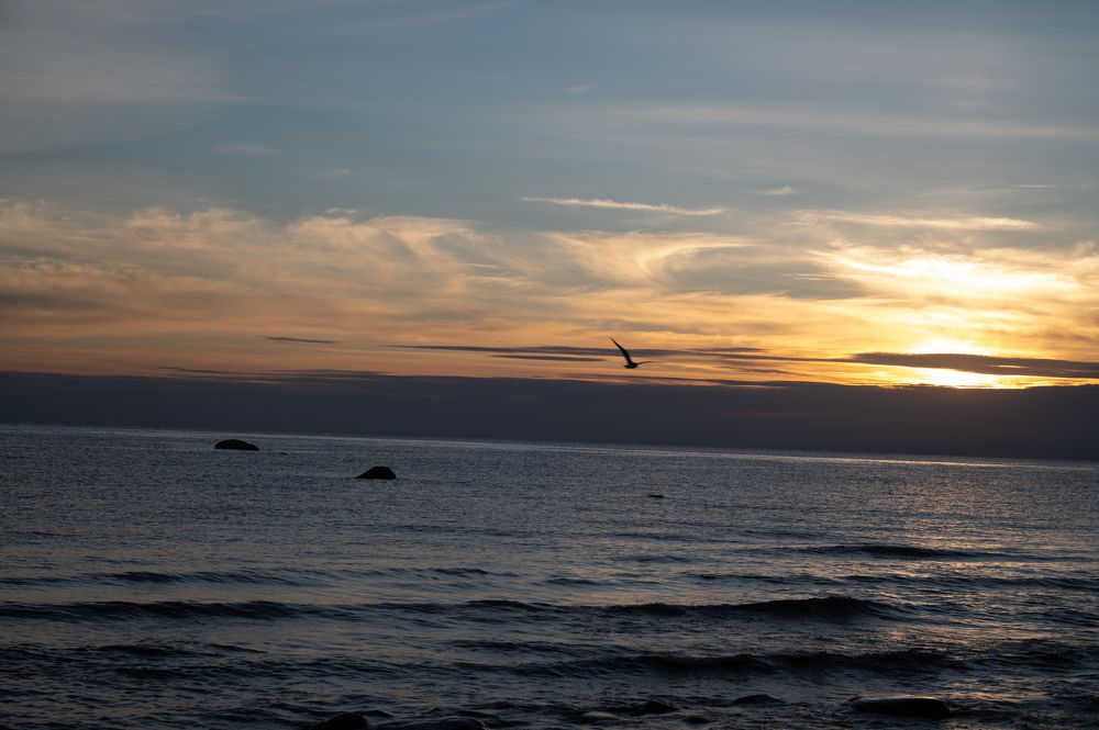 Photograph by Инна Хазанджи