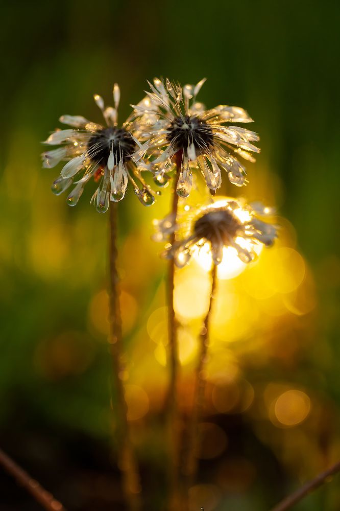 Фотография автора Юрий Стройкин