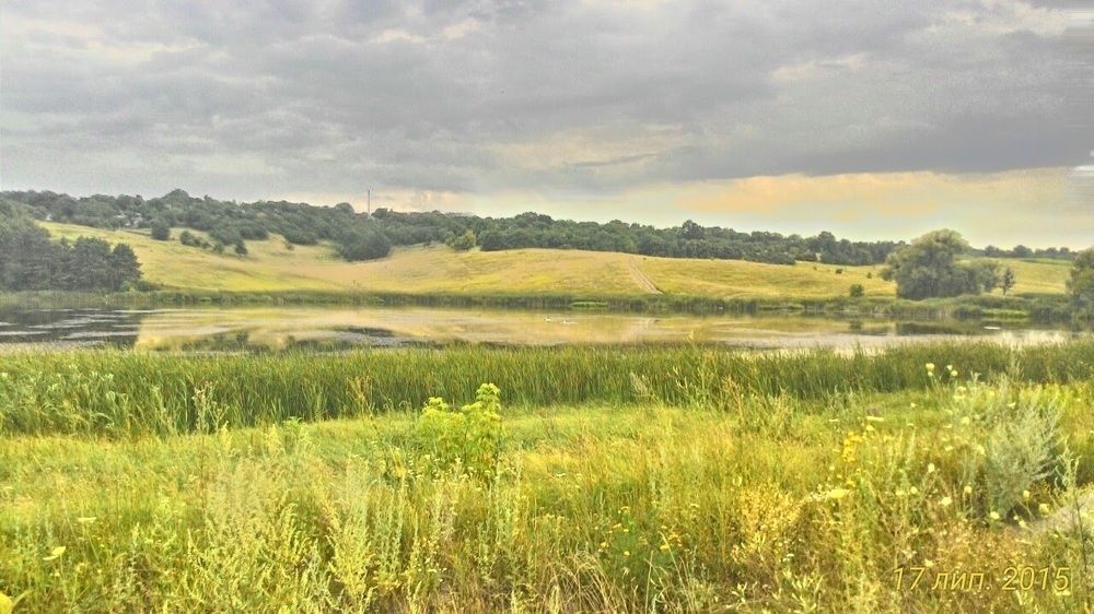 Photograph by Demyanenko Viktor