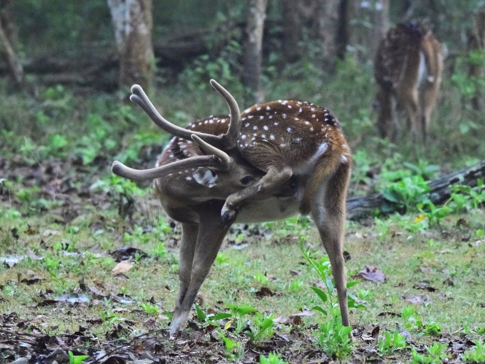 Photograph by Satish Nerlekar