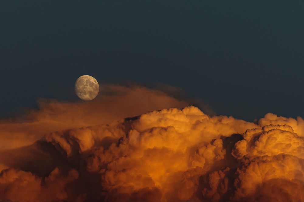 Photograph by Susanna Kari