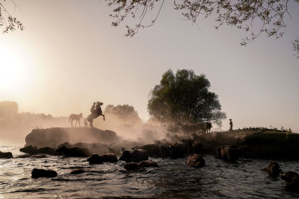 Photograph by beytullah eles