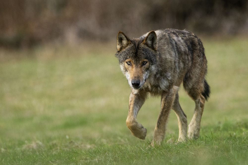 Photograph by Adrian Czech