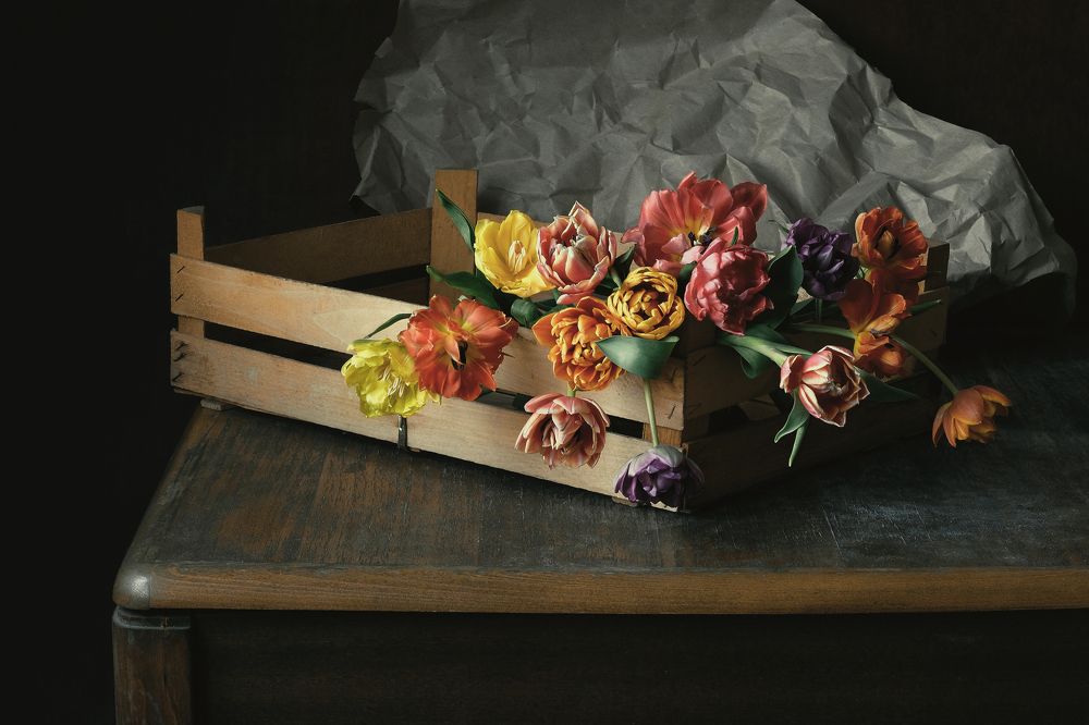 Натюрморт с тюльпанами