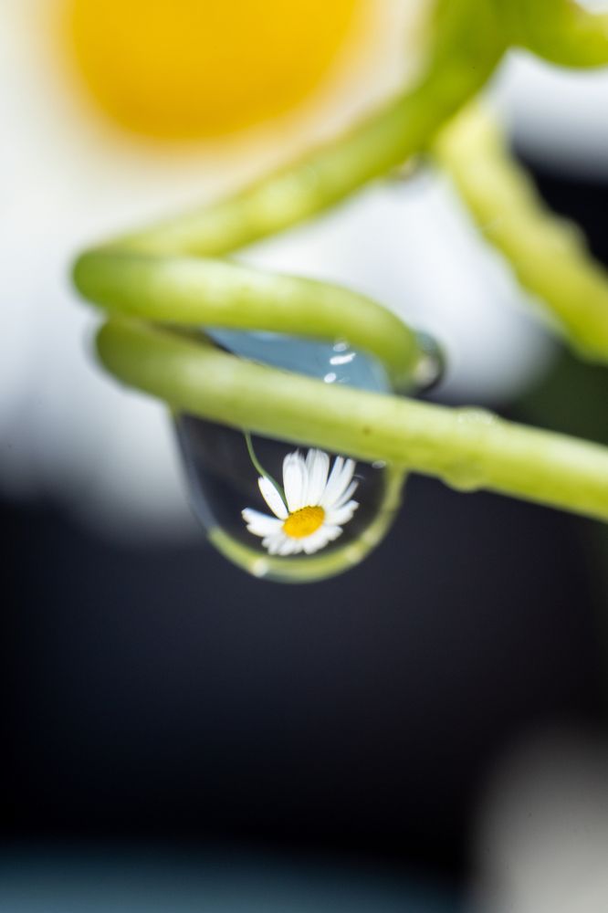 Photograph by Арсен Магомедов