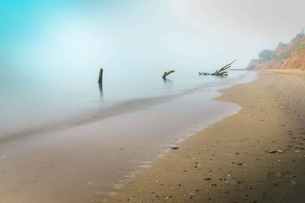 Туманний ранок