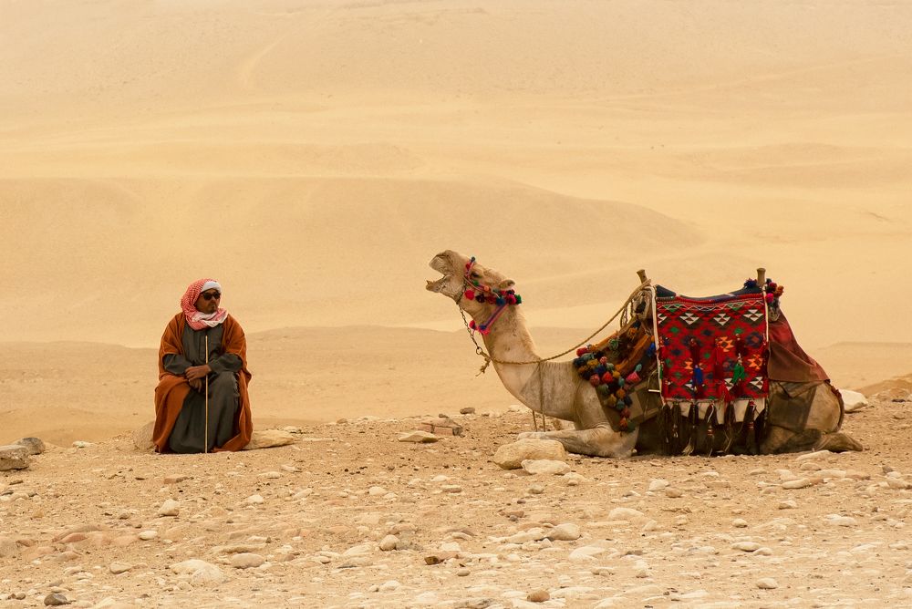 Разговор по душам