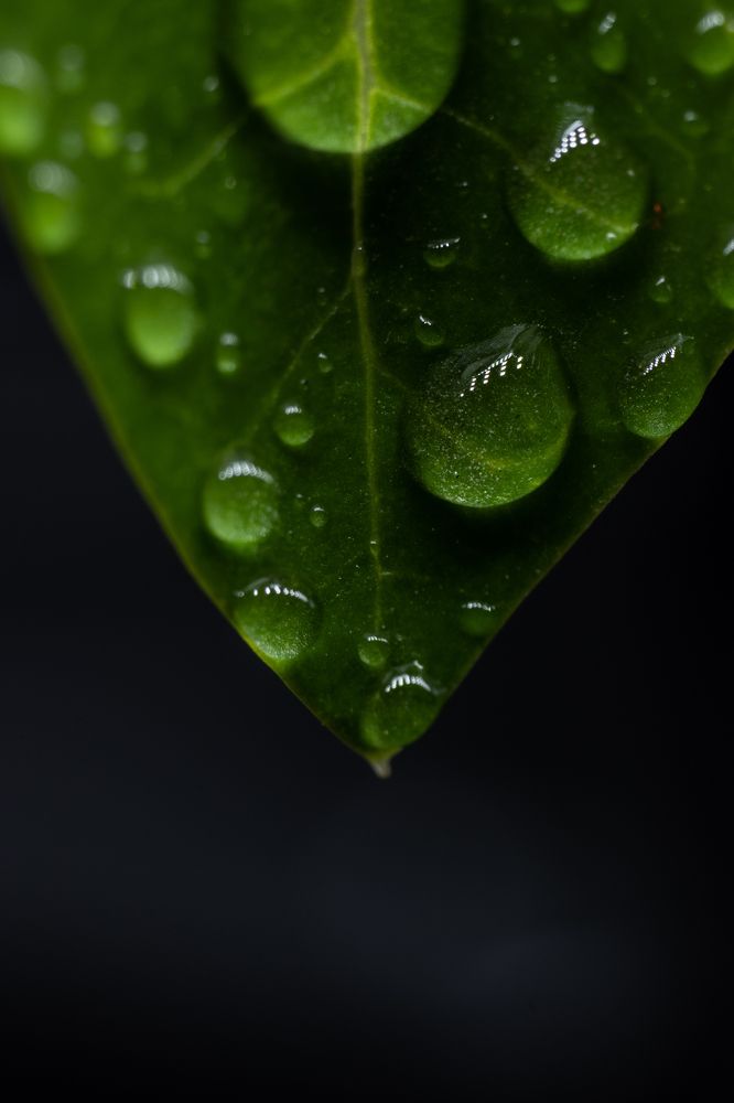 Photograph by Арсен Магомедов