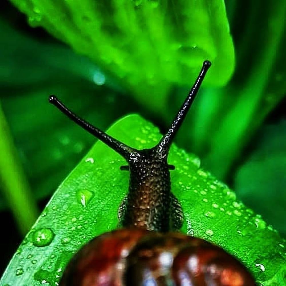 Photograph by Natalia