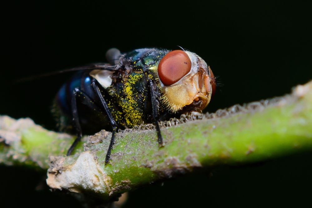 Photograph by Pinak Paul