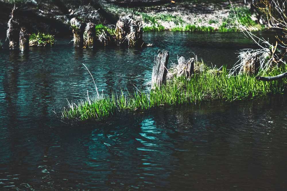 Photograph by Кирилл Кульган