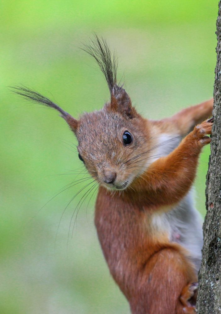 Photograph by Chic.chiquitita