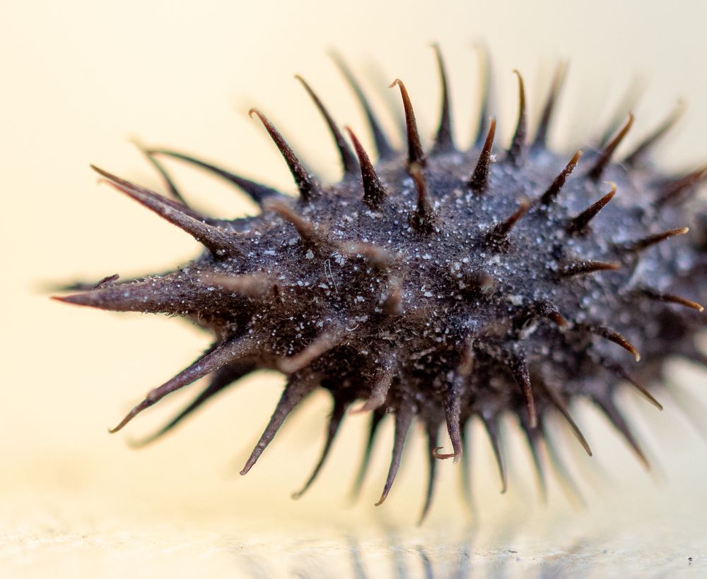 Фотография автора Rizvi Abbas