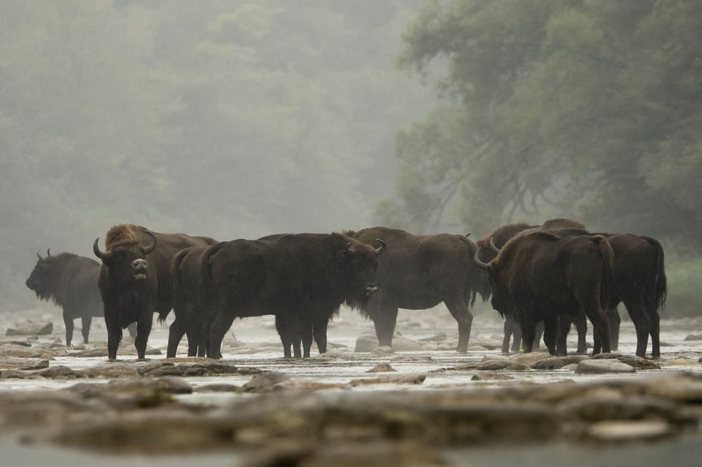 Photograph by Adrian Czech