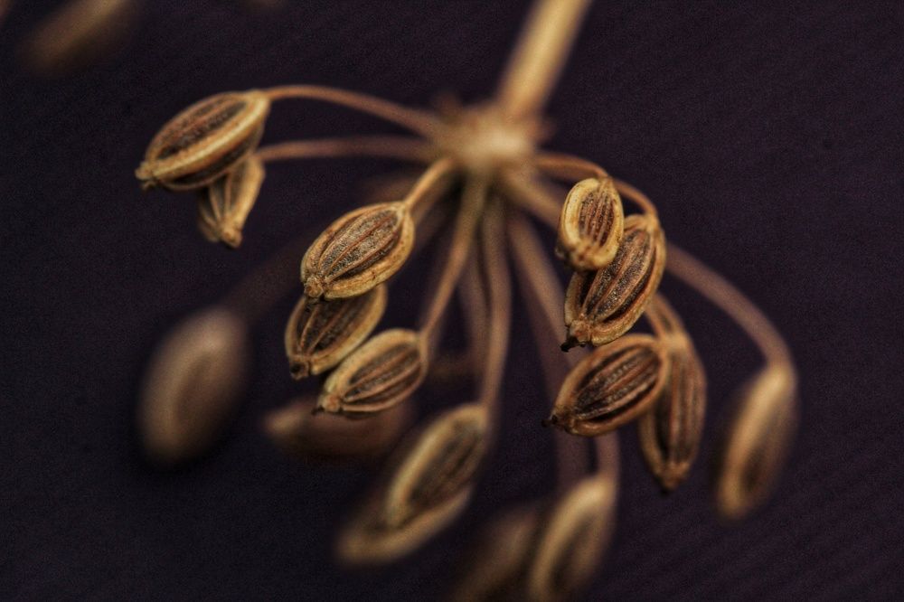 Photograph by Наталья Брунилина