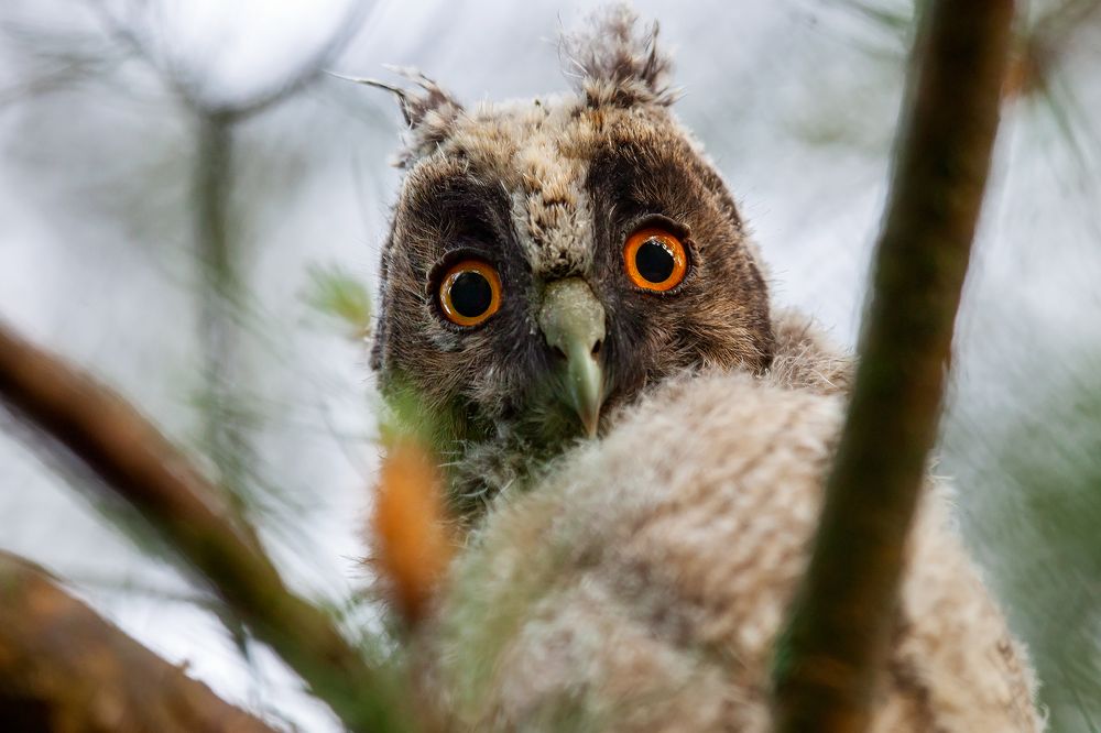 Photograph by Екатерина Бакулина