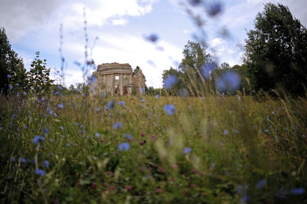 Photograph by Михаил