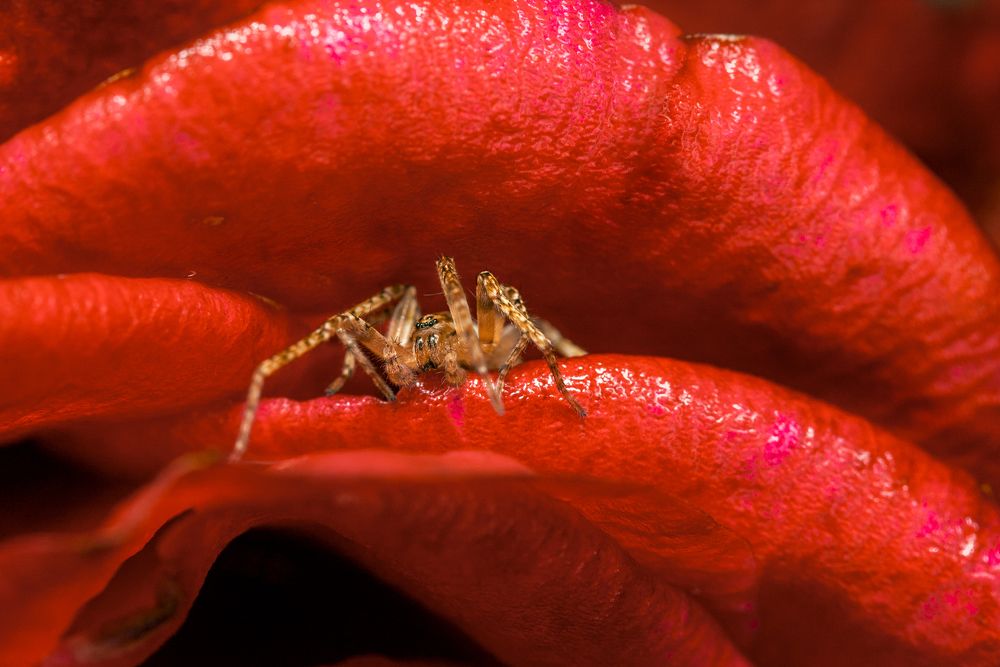 Photograph by Екатерина Бакулина