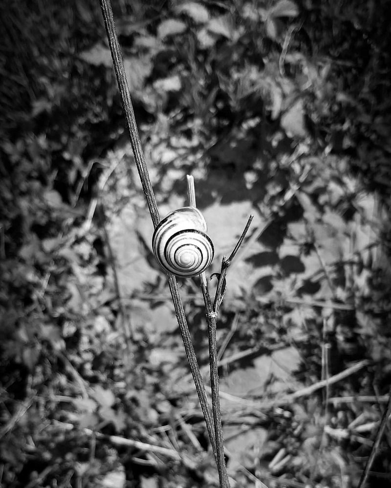 Photograph by Aleksandra Stipanović