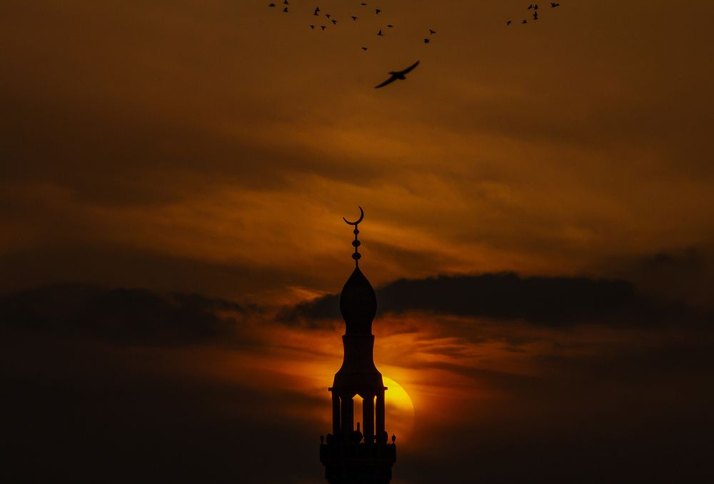 Фотография автора Ebrahim Rahiminezhad