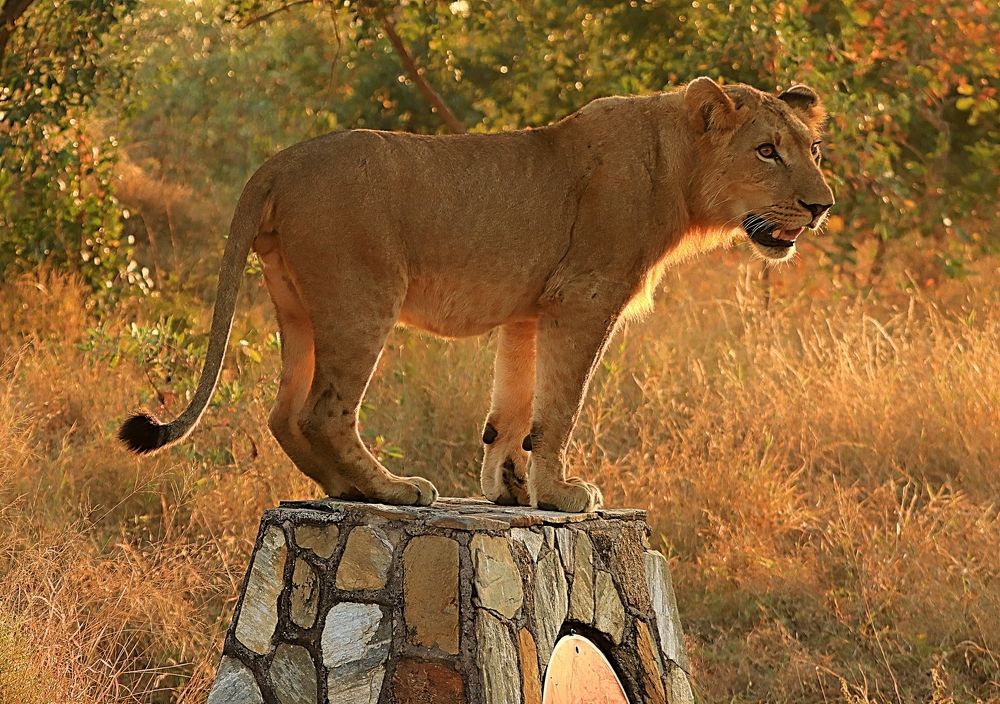 Photograph by Jacques Nel