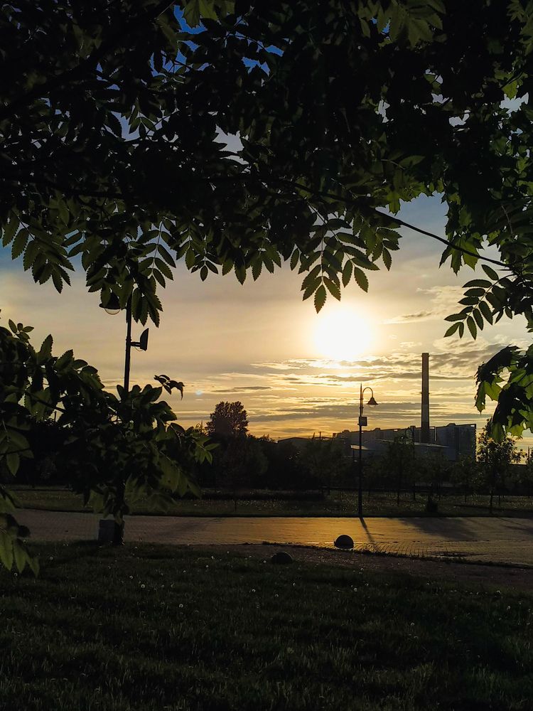 Фотография автора Марина Алексеевская