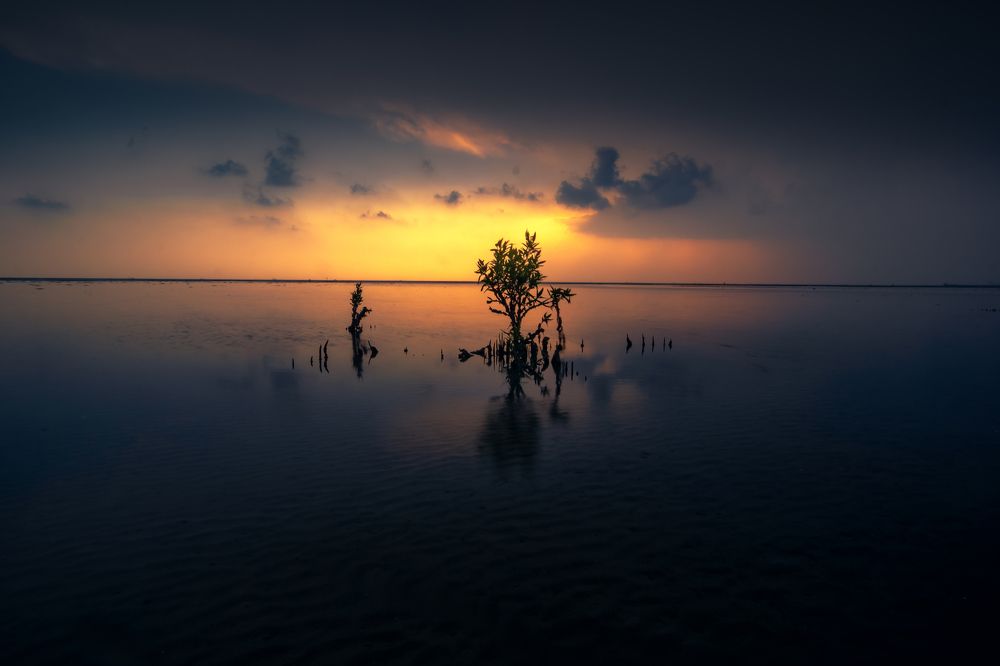 Photograph by Morteza Ghanbari