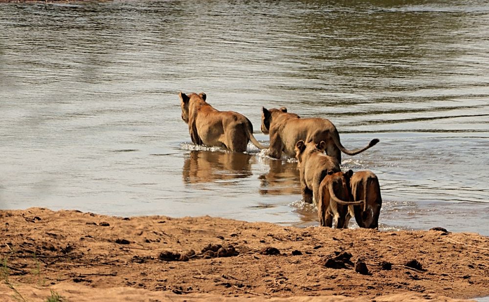 Photograph by Jacques Nel