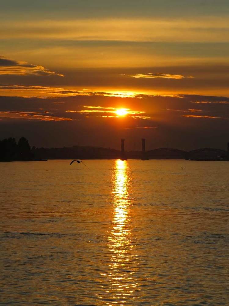 Фотография автора Марина Алексеевская