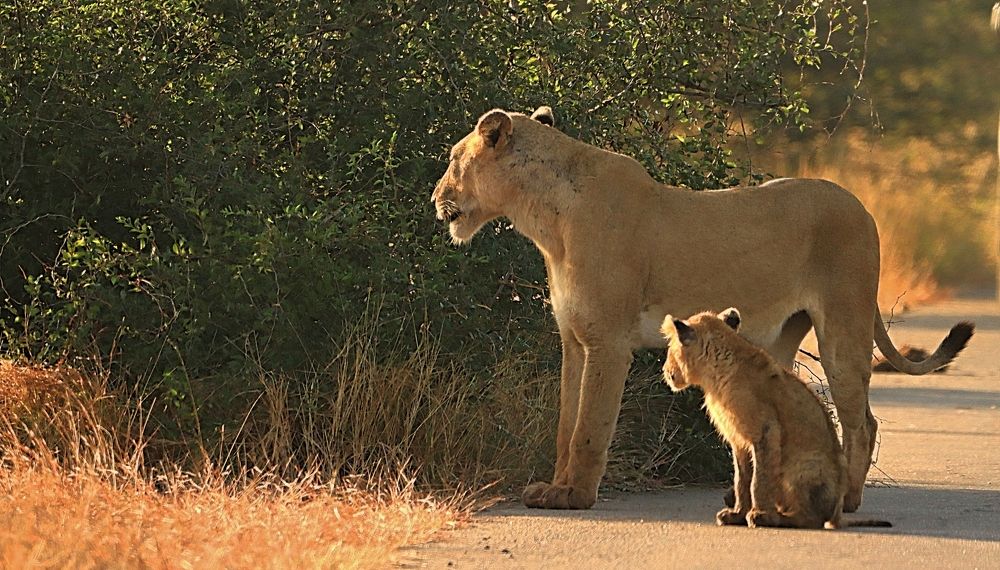 Photograph by Jacques Nel