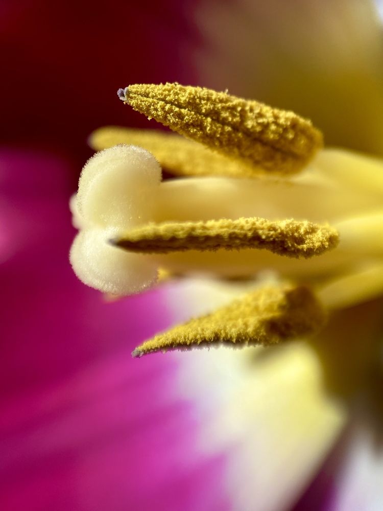 Photograph by Виталина Саврова