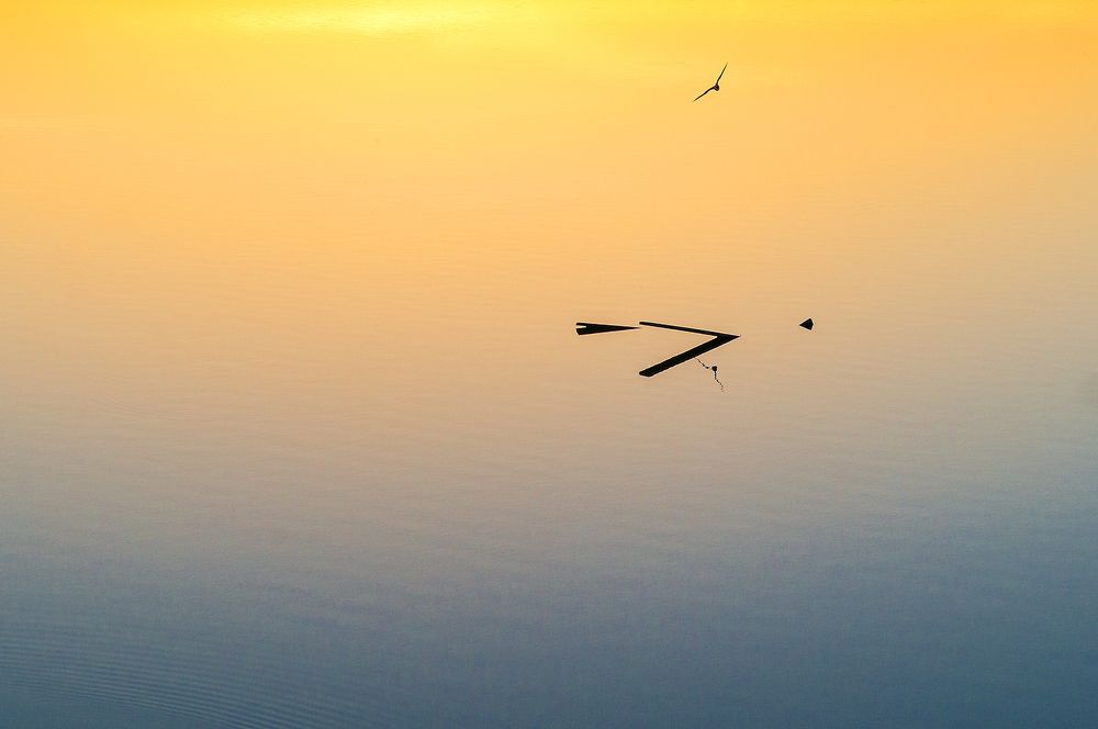 Photograph by Владислав Никишин