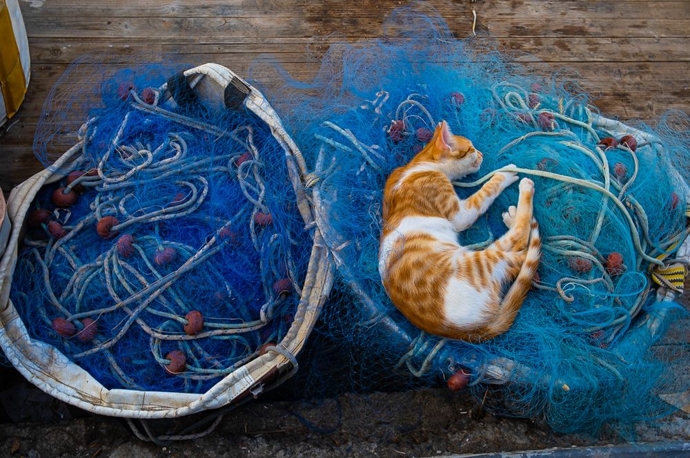 Photograph by Elena Kirilishina