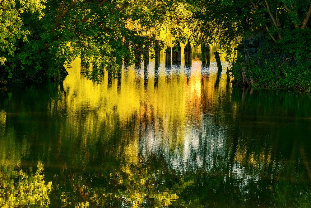 Photograph by Владислав Никишин