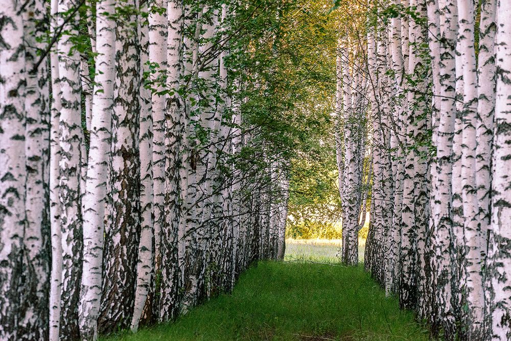 Photograph by Владислав Никишин