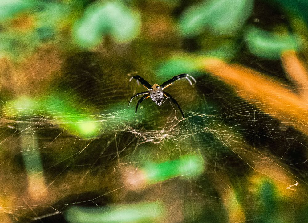 Photograph by Hieu Phan