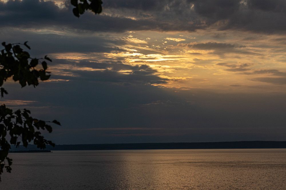 Photograph by 