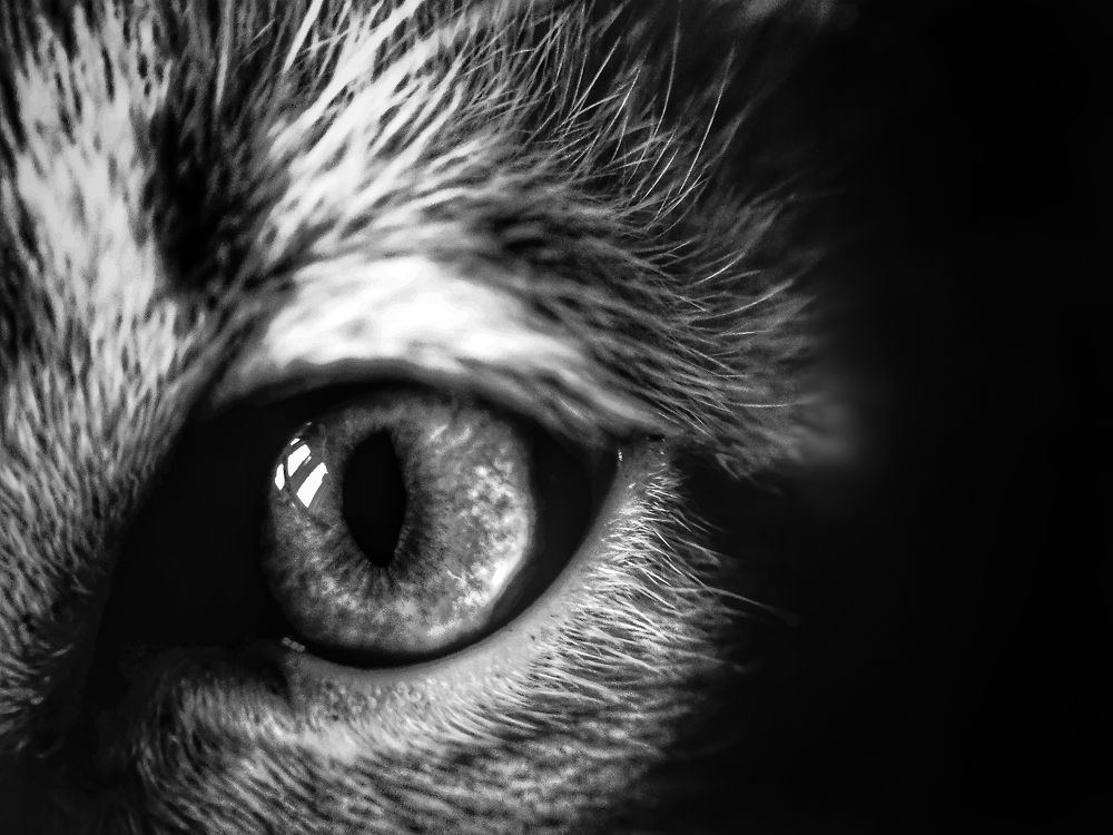 Photograph by Satishkumar Prakash