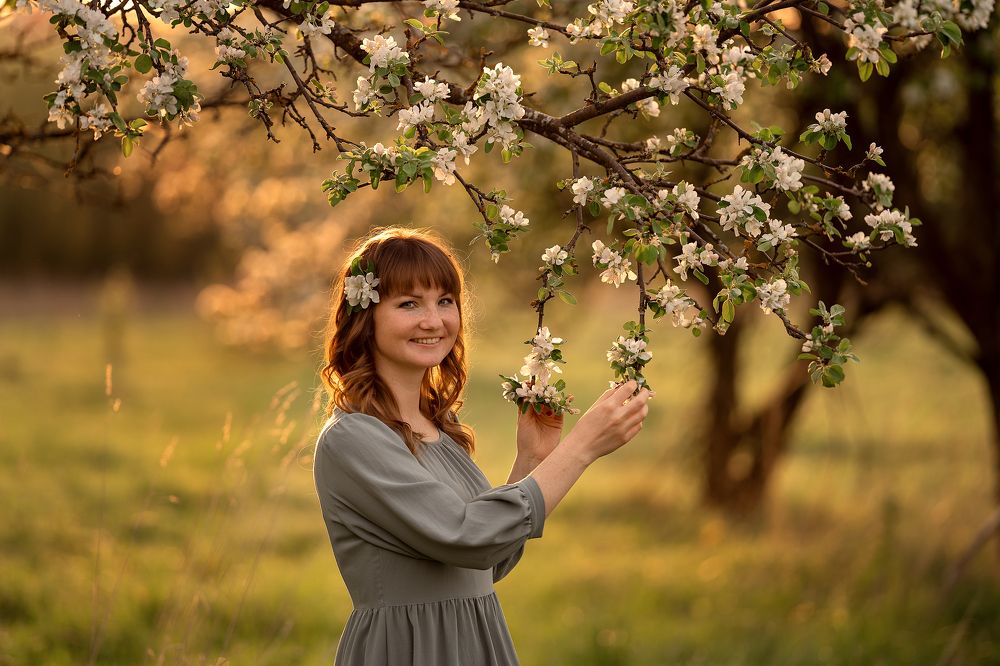 вечер в яблоневом саду